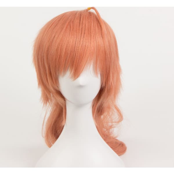 Fate/ Fgo Dr Cosplay Wig Accessories