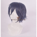 Master Noctis Lucis Caelum Cosplay Wig Accessories