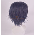 Master Noctis Lucis Caelum Cosplay Wig Accessories